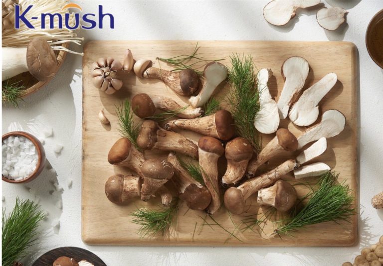 Nấm Matsutake – Bạn đã biết?