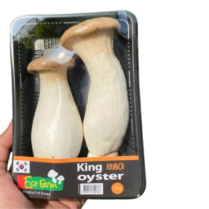đùibhgà