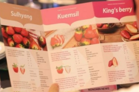 [글로벌스타 K-푸드]⑧’딸기도 신상 폰처럼 진화’…베트남 입맛 잡은 ‘K-베리’