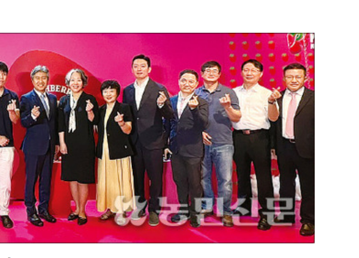 ‘K-딸기’ 새콤달콤한 맛 일품…베트남서 프리미엄 과일로 우뚝