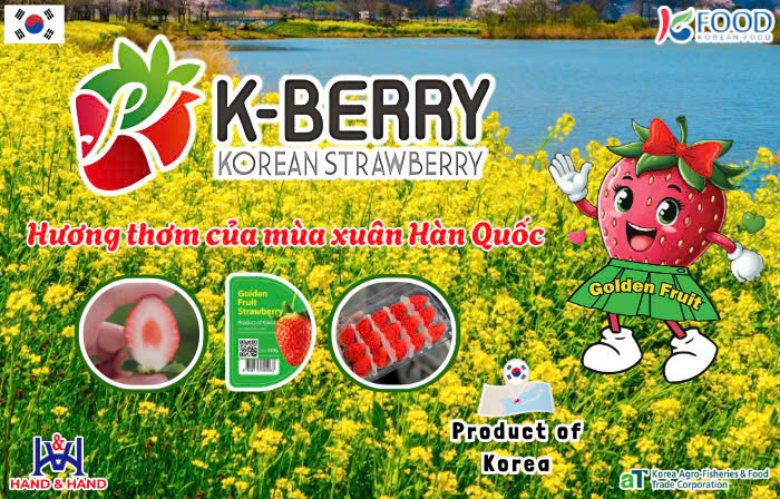 Dâu tây Hàn Quốc – hương vị ngọt ngào của mùa xuân