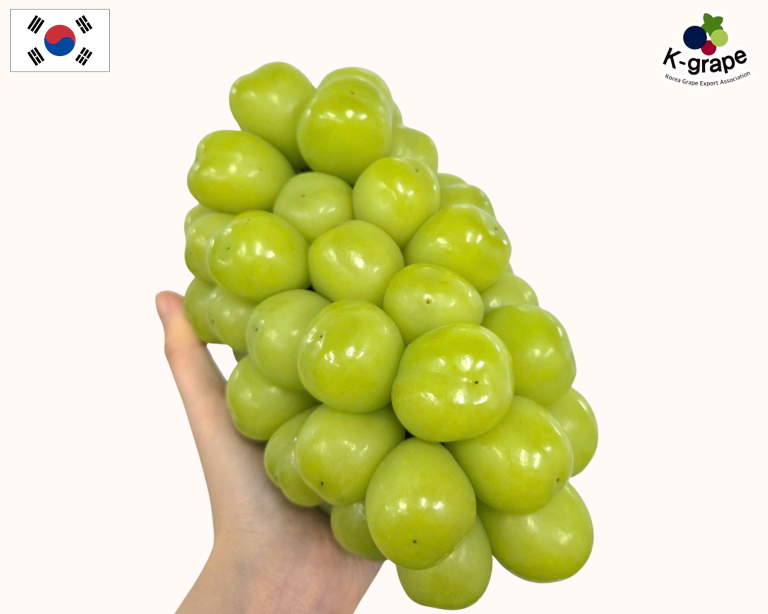 Cảm nhận vị ngọt ngào của tình yêu cùng nho Korea Shine Muscat