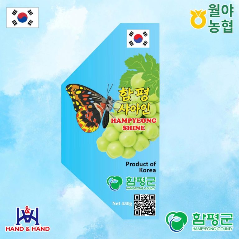 NHO MẪU ĐƠN HAMPYEONG – HƯƠNG VỊ NGỌT THANH TỪ VÙNG BIỂN VÀ GIÓ HÀN QUỐC