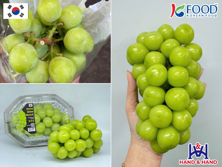 NHO MẪU ĐƠN HÀN QUỐC – TỪ ĐẶC SẢN XỨ KIM CHI TRỞ THÀNH ” TRÁI CÂY QUỐC DÂN” TẠI VIỆT NAM